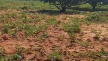 Bán lô đất trồng CLN ven biển hoà thắng 2,070m2 cạnh hồ nước Rạng Đông giá chỉ 373tr Lh 0938677909