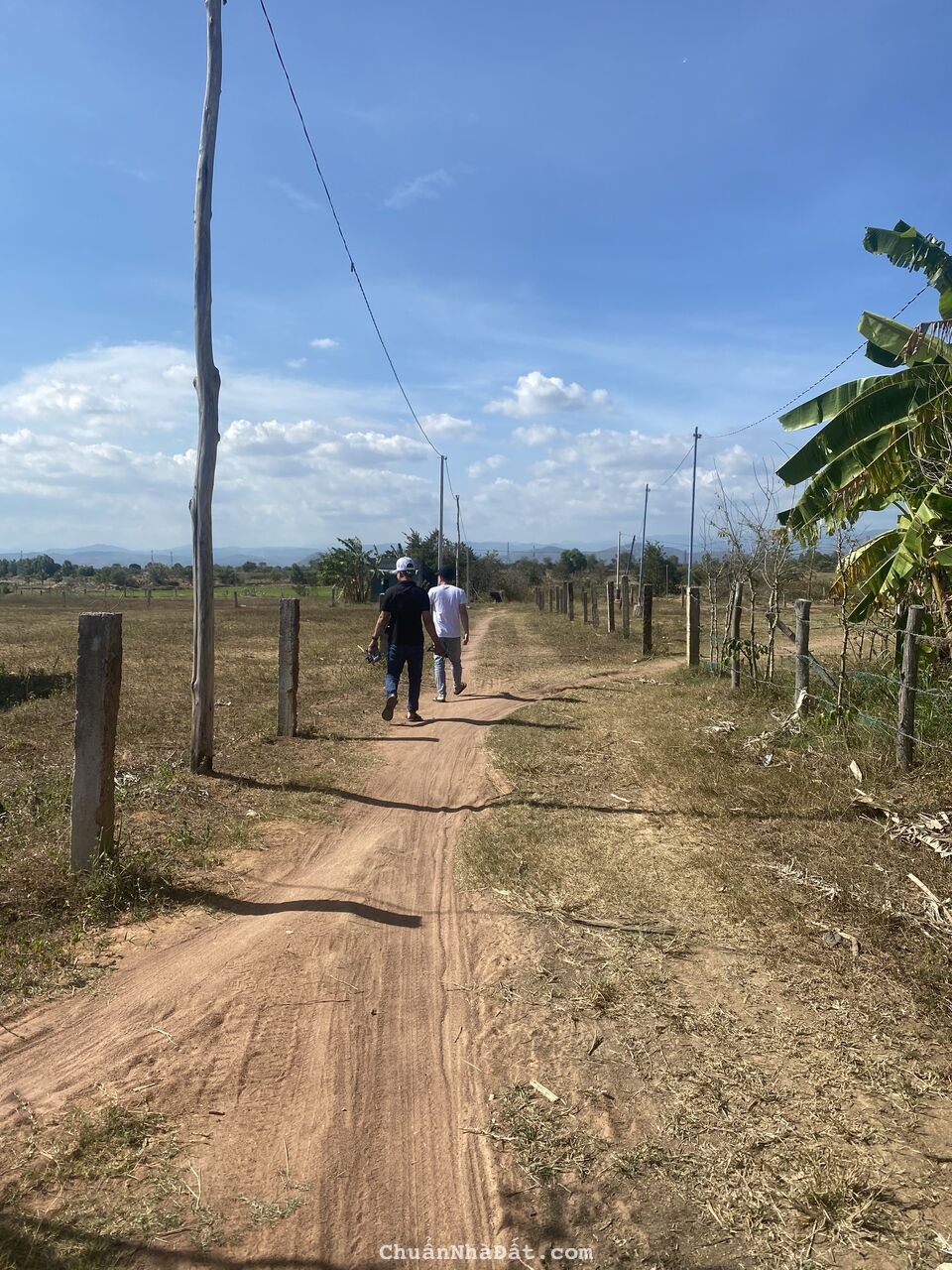 Bán 1200m2 đất vườn hồng liêm đường ô tô tận nơi, cách QL1A 600m giá 275tr Lh 0938677909 xem sổ