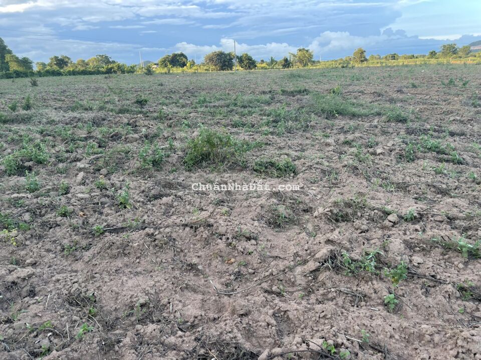 Bán 1285m2 đất vườn hồng liêm cách QL1A 700m, đường ô tô tận nơi giá chỉ 289tr Lh 0938677909 Hiền