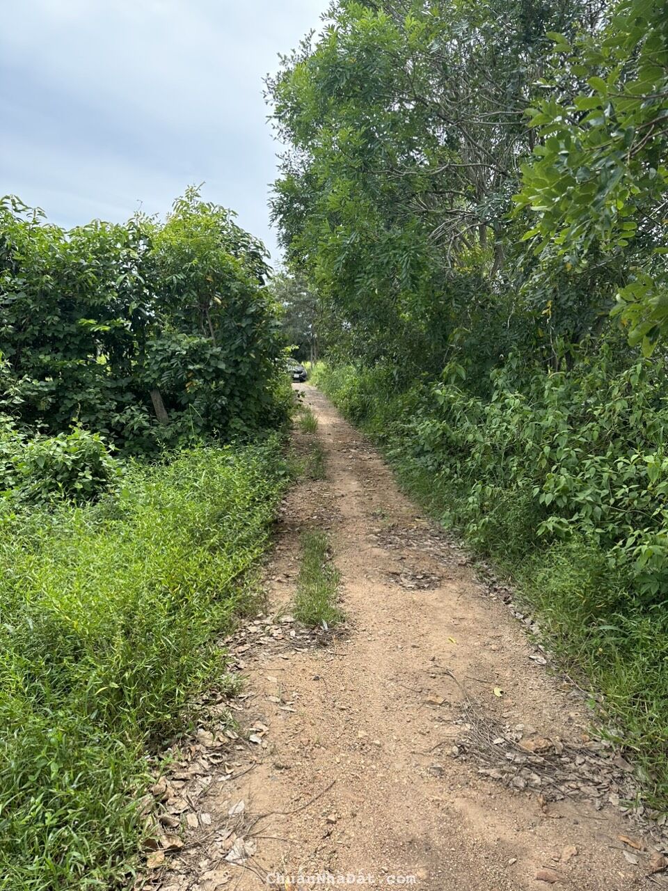 Bán 5880m2 đất CLN hồng liêm, đường ô tô tận nơi giá chỉ 1 tỷ công chứng ngay Lh 0938677909 xem sổ