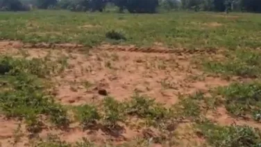 Ngộp bank bán rẻ đất CLN phan rí thành 1922m2 giá 394tr ven biển hoà thắng Lh 0938677909