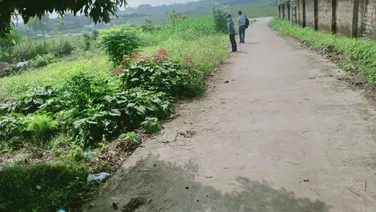 Bắt đáy thị trường đất Tân Yên giá chỉ 1,1Tr/ 1m2 liên hệ 0339473868