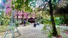 Bán đất tặng biệt thự sân vườn 1200m2 MT Huỳnh Tấn Phát, Nhà Bè, 64 tỷ 8