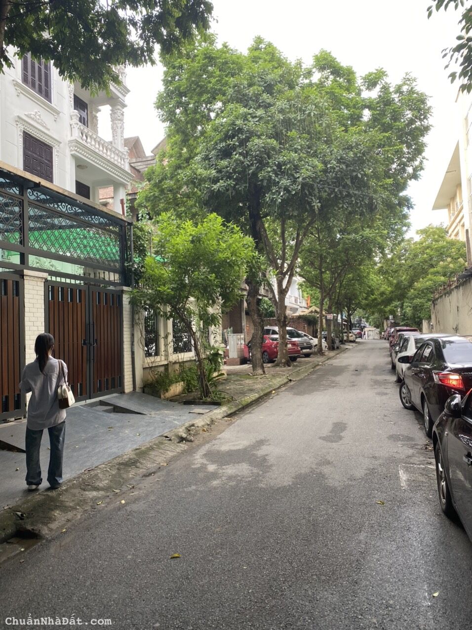 Chính chủ cần bán gấp đất phố Dương Khuê, Nguyễn Hoàng dt 105 m2 x 5 t mt 6,5 m giá 26,5 tỷ