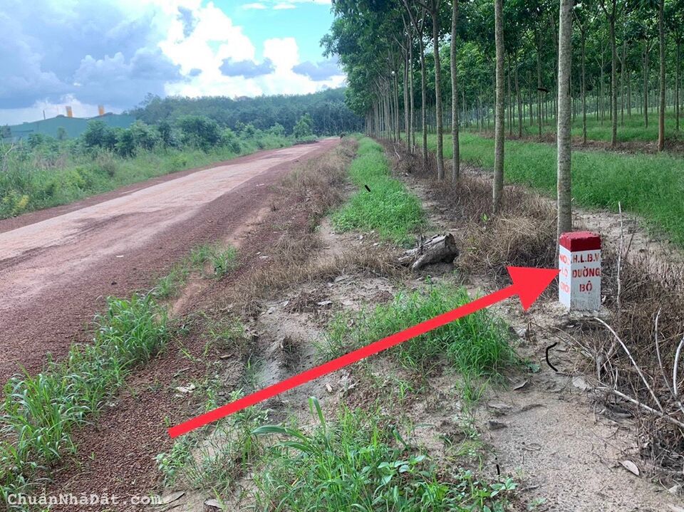 HƠN 200M2 SẴN 100M THỔ CƯ SHR, NẰM CẠNH KCN BECAMEX CHƠN THÀNH. GIÁ CHỈ 410 TRIỆU