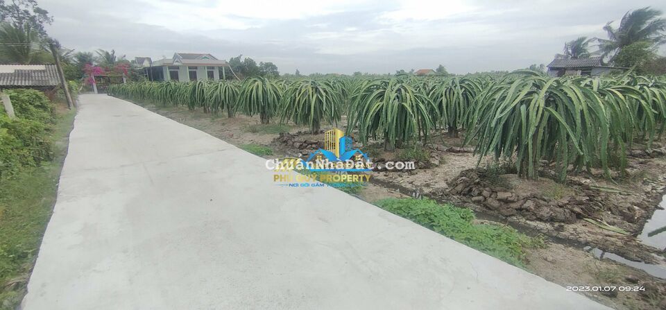 5x31 full thổ Thanh Phú Long Châu Thành giá 399tr