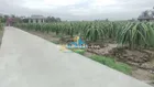 5x31 full thổ Thanh Phú Long Châu Thành giá 399tr