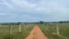 Bán 1,2 ha đất cây lâu năm Hồng Liêm, có ao, vườn điều sẵn siêu đẹp, thích hợp làm farmstay
