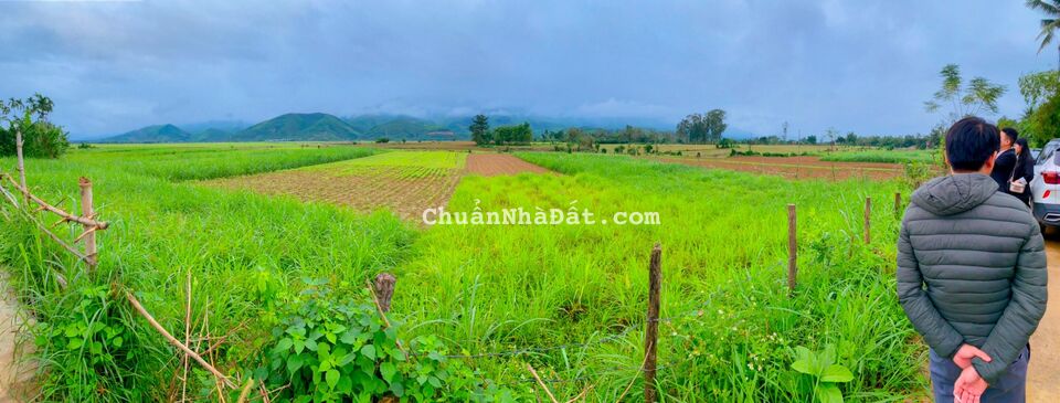 Ra đi nhanh thu hồi vốn trả nợ