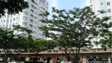 Cho thuê căn hộ Mỹ Khang Nguyễn Lương Bằng Phú Mỹ Hưng q7 giá thuê 14 triệu