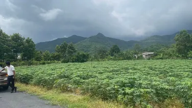 BÁN ĐẤT ĐỐI DIỆN CÔNG VIÊN CÂY XANH GIÁ SỔ RIÊNG CÔNG CHỨNG NGAY