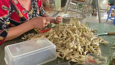 Long tân huyện đất đỏ bà rịa vũng tàu 800 triệu CC 90 ngày