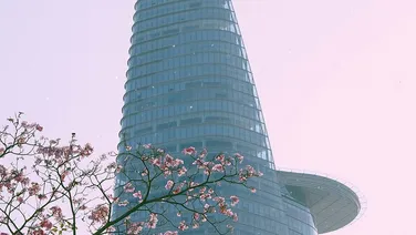 CHO THUÊ MT THƯƠNG HIỆU ĐƯỜNG NGUYỄN ĐÌNH CHIỂU PHƯỜNG BẾN NGHÉ QUẬN 1