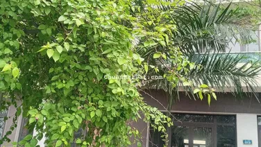 Mặt đường đại lộ 6 làn xe. Đối diện khu liên hợp thể thao VSIP. Shophouse giá chỉ nhỉnh 12.