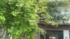 Mặt đường đại lộ 6 làn xe. Đối diện khu liên hợp thể thao VSIP. Shophouse giá chỉ nhỉnh 12.