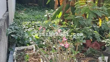 Đất chính chủ gân chợ lái thiêu