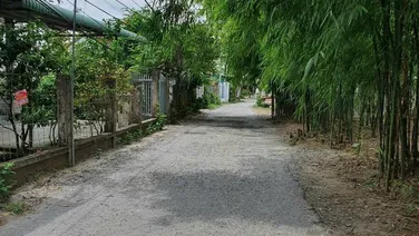 Bán 1.450m2 đất kế chân cầu Cái Chanh nhỏ, có 210 m² TC và 1.240m2 CLN, giá 2,9 tỷ(TL)