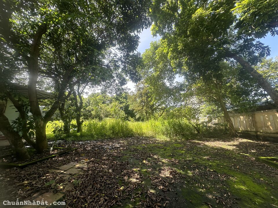 Bán ô đất quá víp vừa to vừa rộng tại Làng Bầu, Liên Bảo, Vĩnh Yên, Vĩnh Phúc. Lh: 0986934038