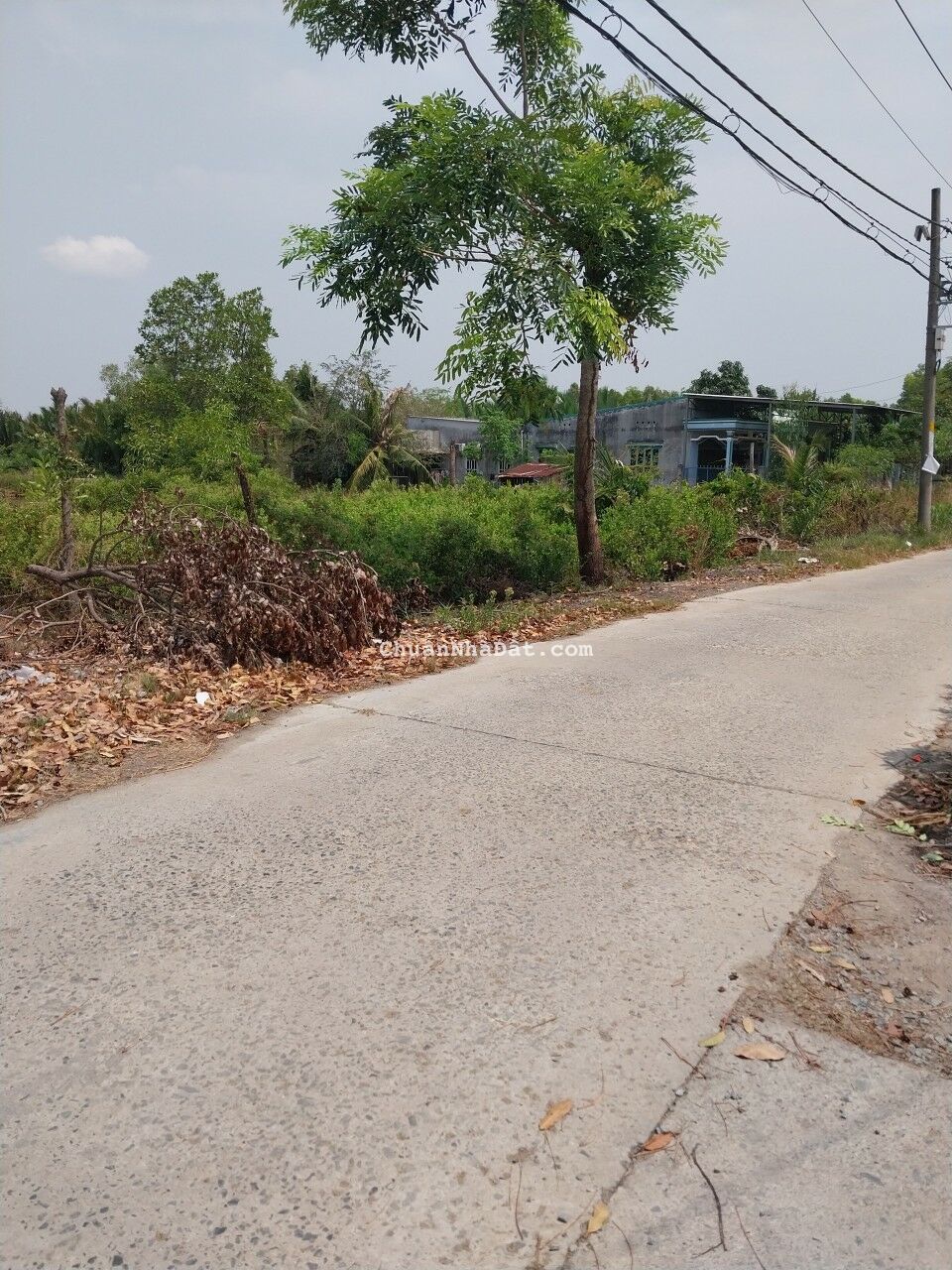 Đất trồng cây lau năm, mặt tiền đường Thanh Nien Xung Phong, Hiệp phước. 35*70