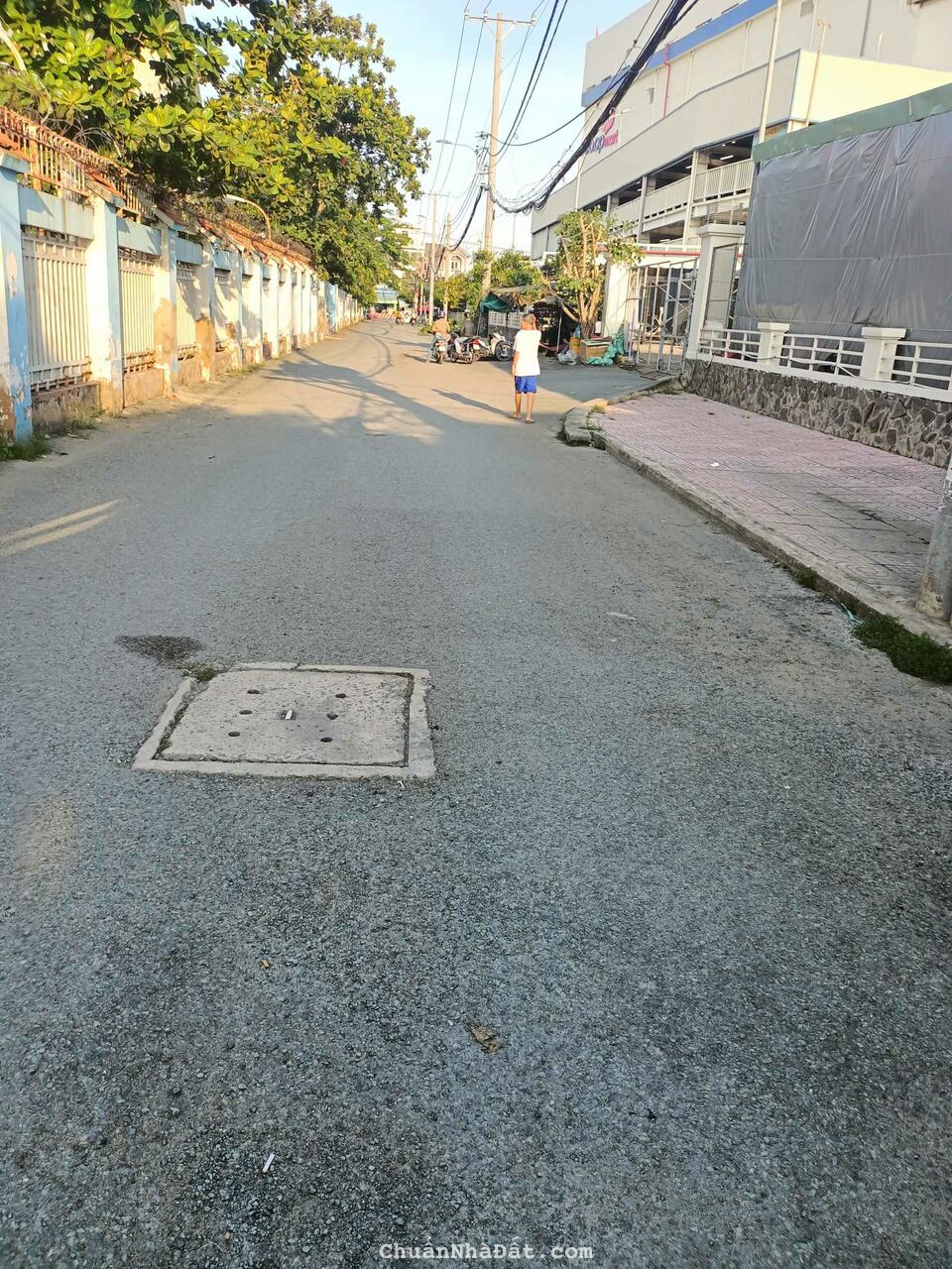 Biệt thự 3 tầng đường gần 10 m, Tân Thuận đông Q 7. 10,2*33 chỉ 24,5 tỷ.