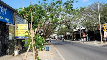 Nhà mặt tiền đường Nguyễn bình, giá như trong hẻm. Nhỉnh 50 tr/ m2.