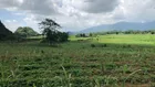 Thửa đất thích hợp để đầu tư xây khu nghỉ dưỡng, nhà ở