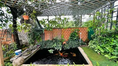 💥Nhà Vườn TC 13*35m,Đầu Đường A1,Phạm Ngũ Lão thôn 4,gần Vành Đai,nhiều lô khác