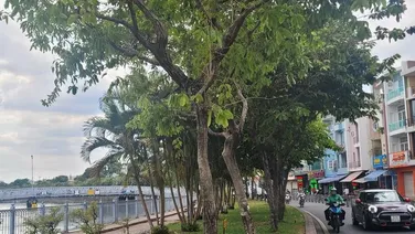 Bán nhà HXH thông đường Trường Sa, Q.Phú Nhuân - 4,2x15m(CN: 60m2) - 2 tầng - Gía: 12 tỷ