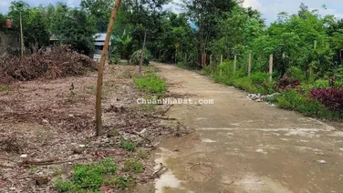 Bán nhanh Lô Đất Tại Khánh Bình-Khánh Vĩnh chỉ 280tr với DT:160m2(60m thổ)