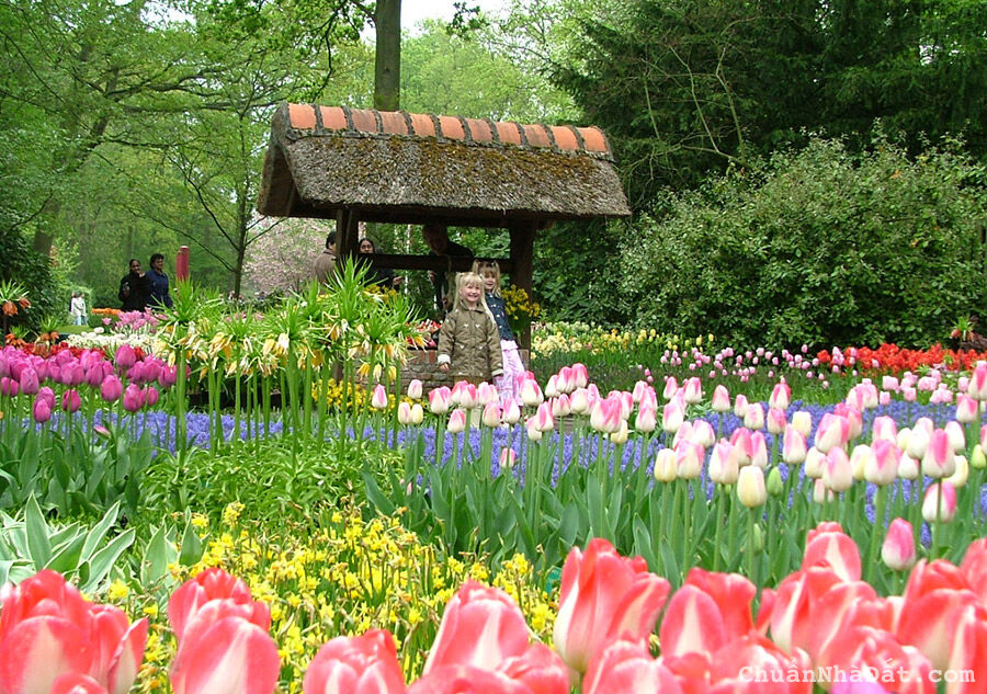 Cơ hội sở hữu lô đất đẹp 10 x 13m trung tâm thành phố Đà Lạt chỉ 1.38 tỷ