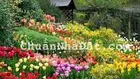 Bán rẻ lô đất giá đầu tư 5 x 13m Thái Phiên phường 12 Thành Phố Đà Lạt