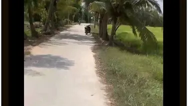 Cần bán rẻ lô đất biệt thự 20 x 25m Huyện Đức Hòa Long An