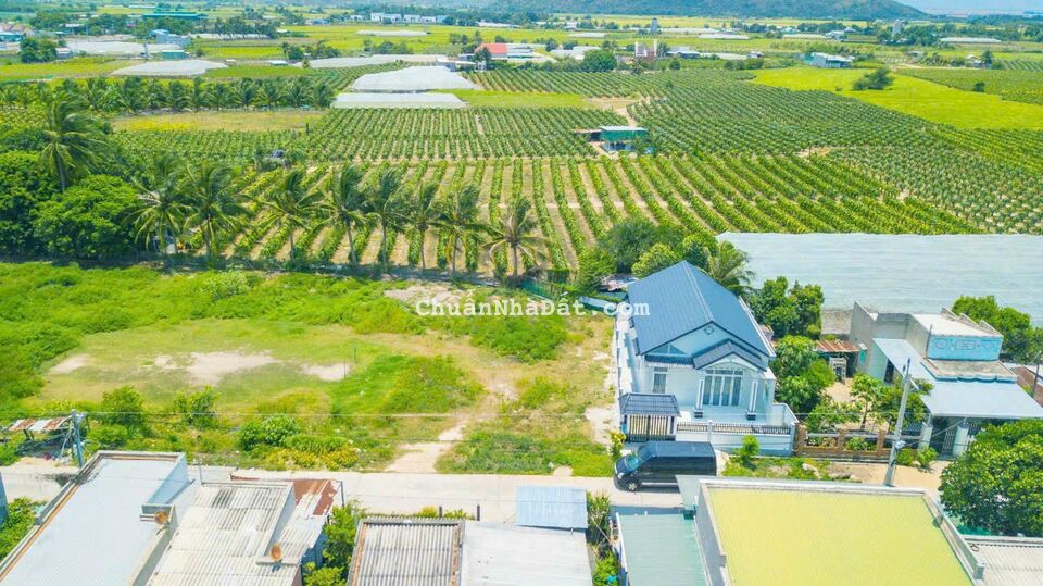  Suất đầu tư 800tr/nền có ngay đất biển Bình Thuận gần nút giao Phan Thiết - Vĩnh Hảo