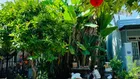 Bán đất đường Nhân Hoà 4 sát công viên gần chợ Miếu Bông giá rẻ