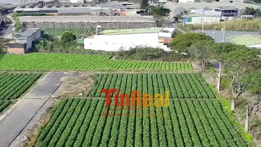 ĐẦU TƯ ĐẤT TRUNG TÂM VÙNG VEN TP ĐÀ LẠT CHỈ VÀI TRĂM TRIỆU