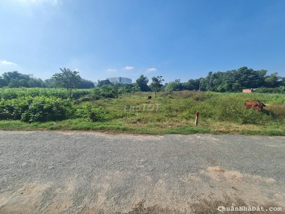 BÁN NHANH ĐẤT KCN GÒ DẦU- TÂY NINH, SHR FULL THỔ CƯ 150M2 