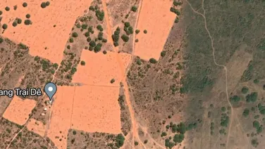 7,5 Sào Gần Hồ Rạng Đông Bắc Bình-Phan Rí Thành