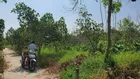 550 TRIỆU: 195,6m2 nhánh Rạch Giồng Ổi, đường Trương Vĩnh Nguyên, Phú Thứ, Cái Răng, TP Cần Thơ