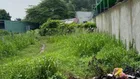 BÁN NHANH LÔ ĐẤT NGỢP_Phú Hòa Đông, Củ Chi, 100m2, Full Thổ Cư,SHR, GIÁ 690TR