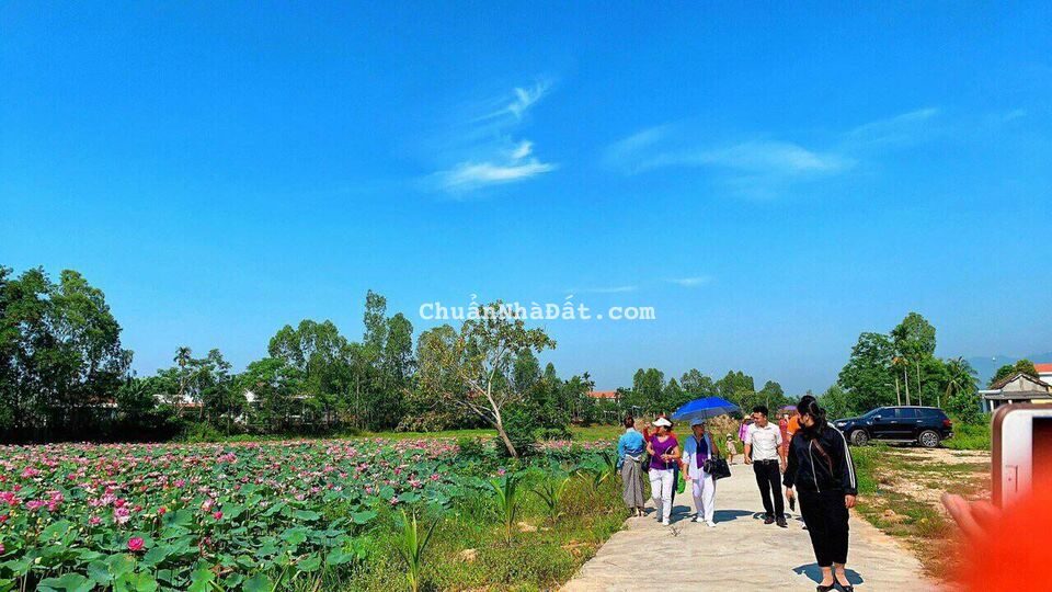 Bán lô góc 2MT đối diện khu du lịch đầm sen Điện Tiến 