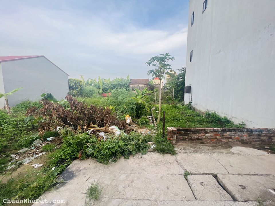 CHÍNH CHỦ GIAO BÁN 64M ĐẤT TRUNG THÔN, ĐÔNG HỘI, ĐÔNG ANH, HÀ NỘI-PHÂN LÔ BÀN CỜ-ĐẸP NHẤT KHU VỰC