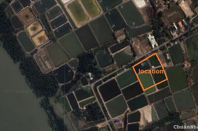 MT Trần Quang Quờn. QH thổ cư xã Bình Khánh, Cần Giờ. 100m x 102m. 71,4 tỷ
