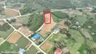 Bán đất sát đường Hồ Chí Minh - giá 150tr/lô