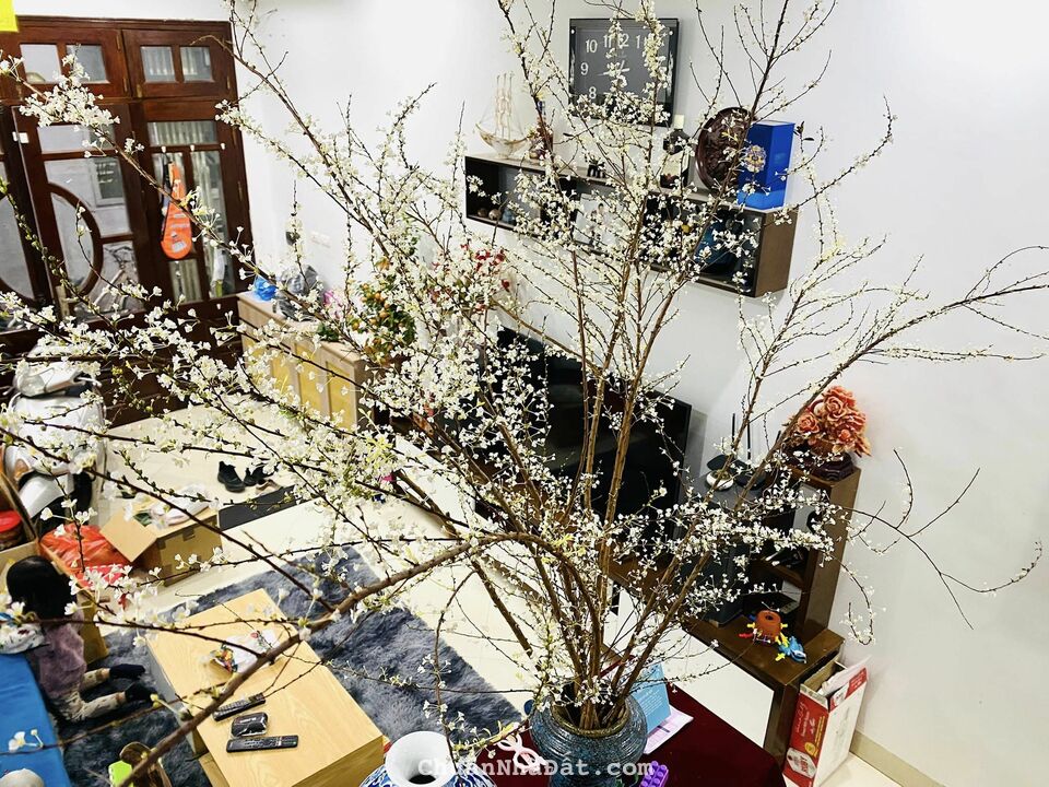 Bán nhà Bùi Xương Trạch -Thanh Xuân 46m Nhà thiết kế 4 tầng MT:3,7m - 2,8tỷ