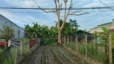 ĐẤT ĐẸP - GIÁ TỐT - Cần Bán Nhanh Lô Đất Vị Trí Đắc Địa Tại Gò Dầu, Tây Ninh