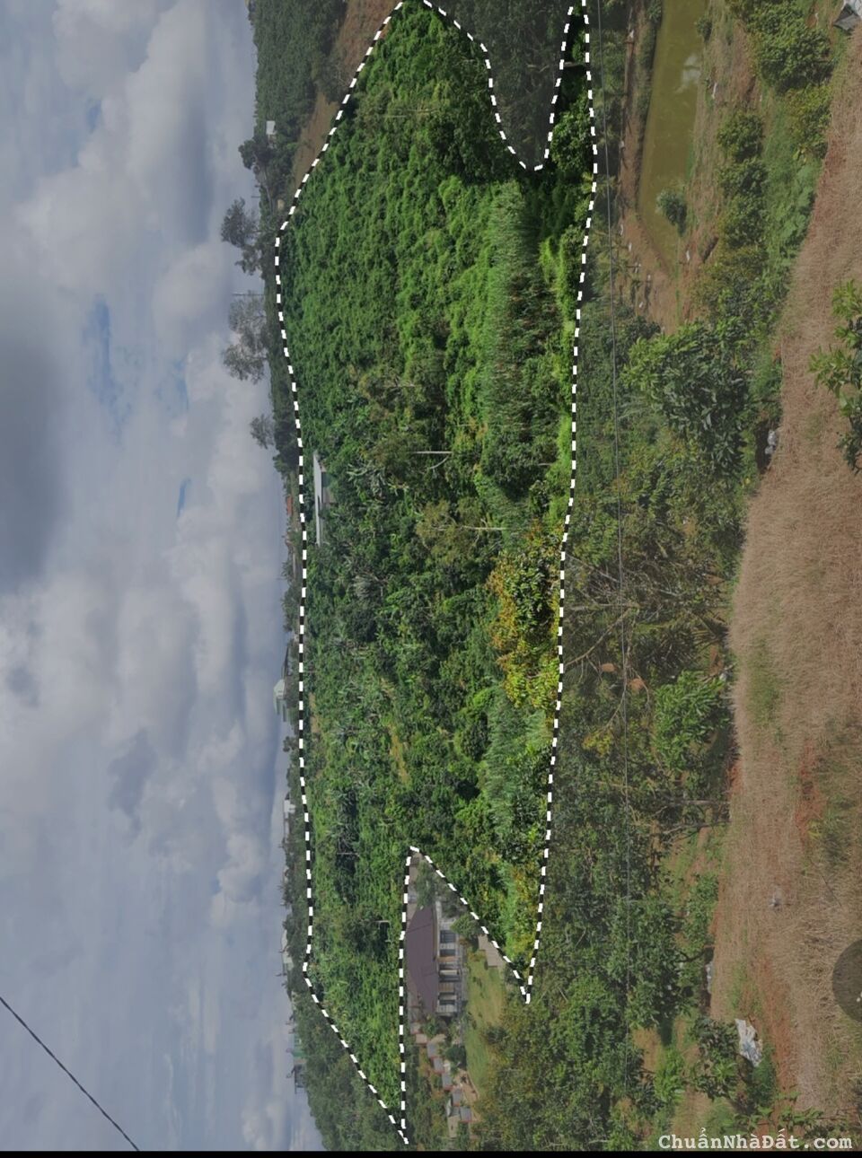 Bán 2.4 ha vườn rừng nghỉ dưỡng gần TT Bảo Lộc