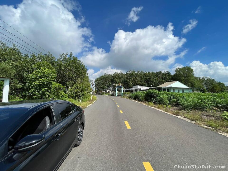  Nợ ngân hàng không đóng lãi nổi, cần bán gấp lô đất đẹp nhất