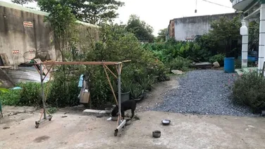 Bán đất thổ cư Quận 2 Diện tích 669m2 Giá 41,850.000đ/m2 . Chị Thảo 0903034123