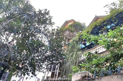 Cho thuê biệt thự sân vườn 500m2 trung tâm quận Ba Đình, không giới hạn mục đích thuê