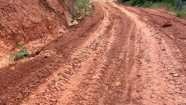 Tận hưởng không gian thiên nhiên view đồi, Cần bán 6,5 hecta đất cây lâu năm, Đắk Nông